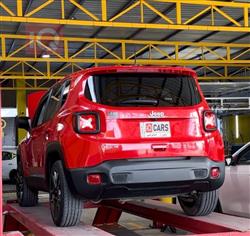 جيب رينيجيد